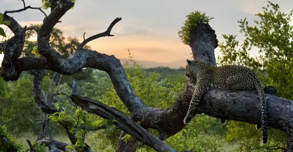 Signature: Southern Africa from Cape Town to Victoria Falls