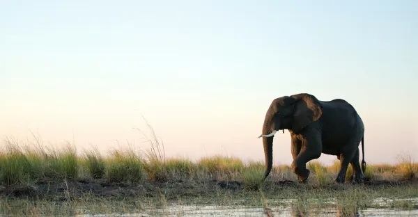 Signature: Southern Africa from Cape Town to Victoria Falls