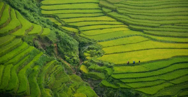 Signature: Vietnam from the Mekong Delta to Hanoi