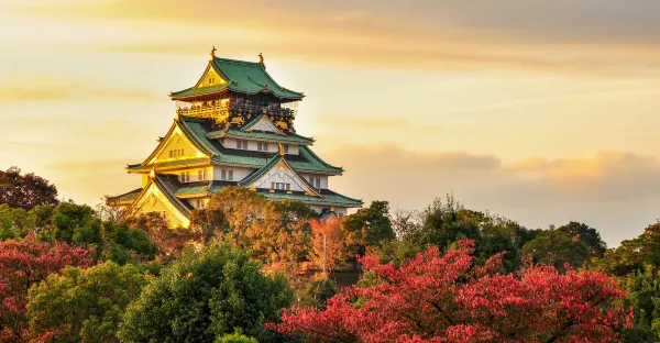 Circle Japan - Tokyo return