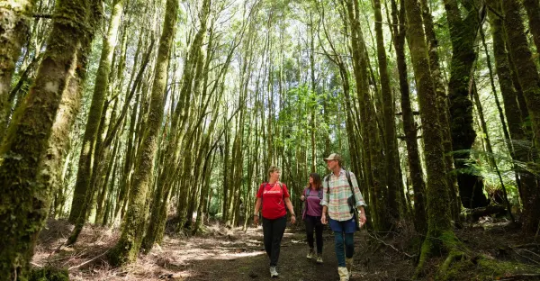Best of Tasmania