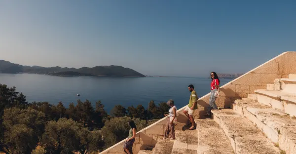 Premium Turkey in Depth