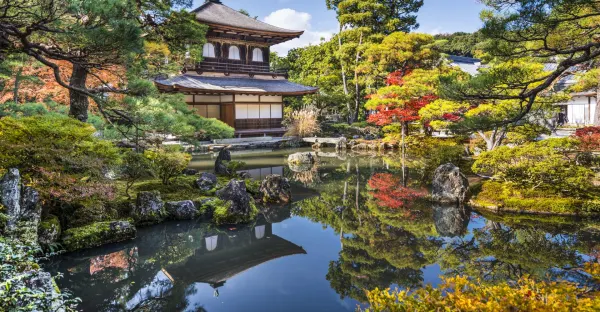 Traditions of Japan - Tokyo return