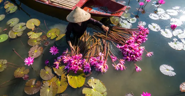 Vietnamese Reflections - Hong Kong to Singapore