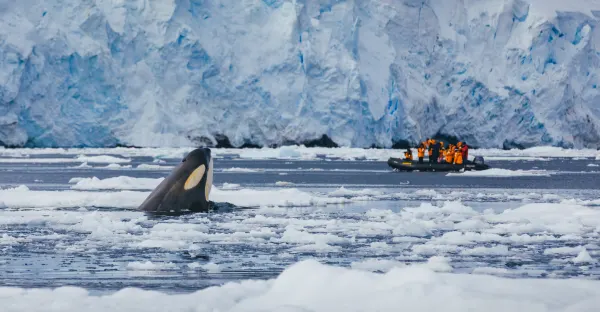 Antarctic Explorer: Discovering the 7th Continent - Buenos Aires return
