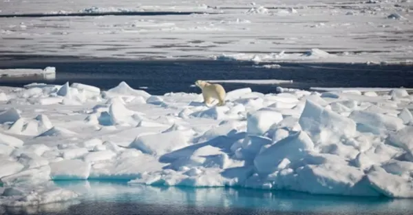 Scotland to Spitsbergen: Puffins, Sea Ice and Wildlife - Aberdeen ro Helsinki