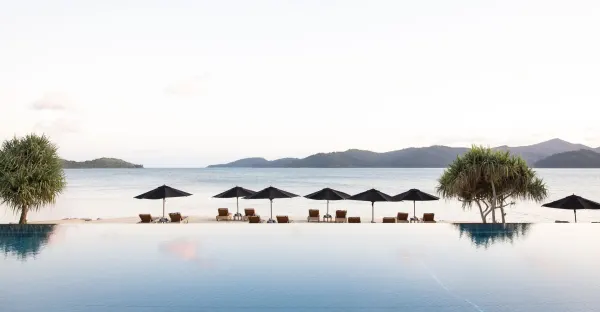 qualia Signature Experience