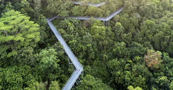 Active Singapore