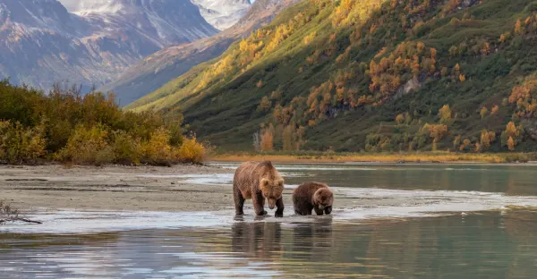 Alaska & the Inside Passage - Seward to Vancouver