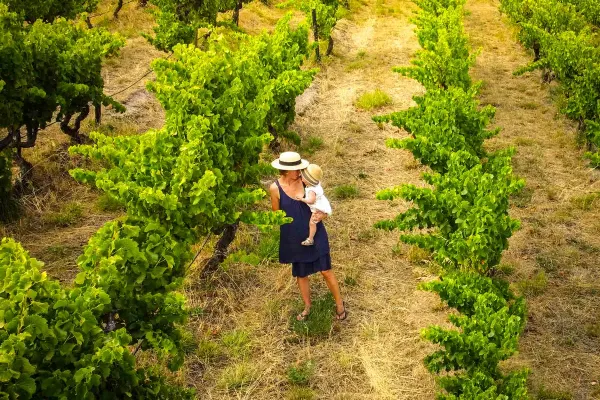 Mother and baby cuddling in a wine vineyard