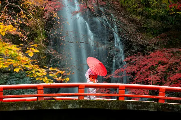 Woman in a kimono holding a red parasol on a red bridge looking at a waterfall in a forest