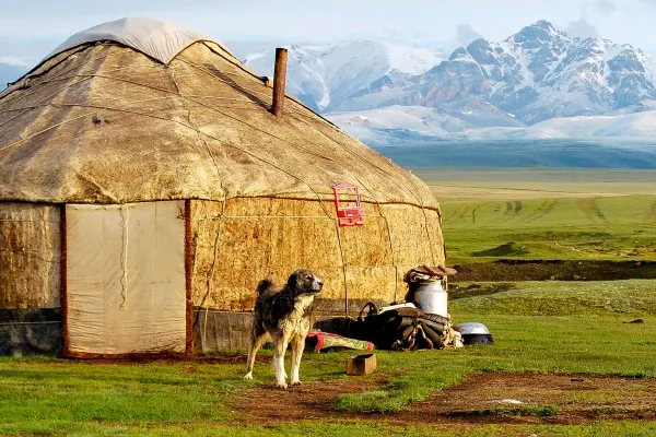 Dog in front of hut