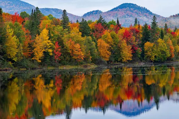 Autumn coloured trees by the lake