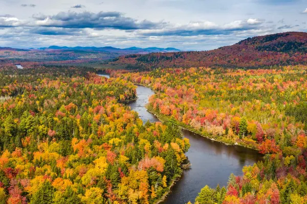 Drone shot of autumn coloured trees along lake