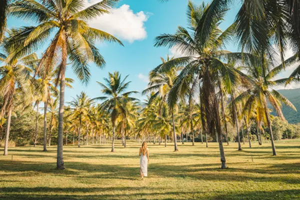 Woman walking in a field filled with palm trees