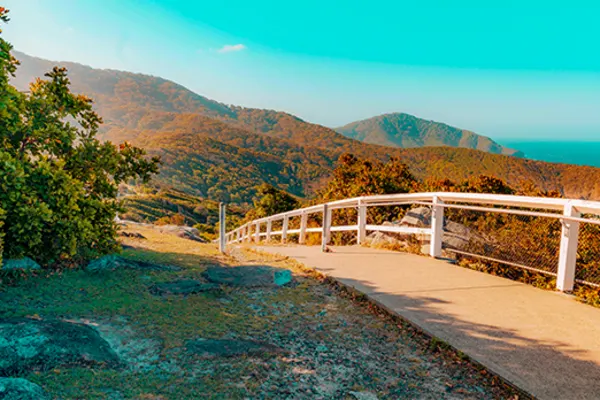 Curved walkway on a cliff, overlooking rolling, brown forests