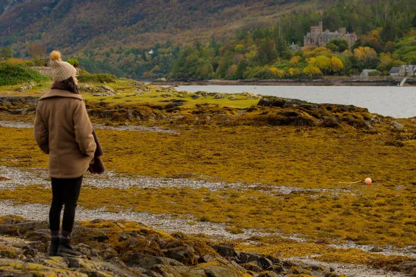 Person looking out at a river and rolling brown fields