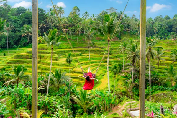 Woman in a red dress on a huge swing overlooking terraced farms in Ubud, Bali
