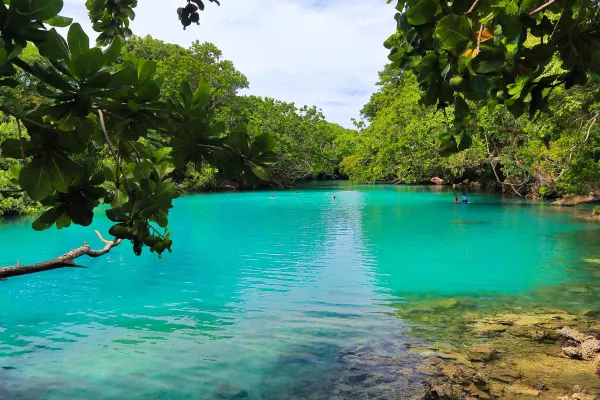 Blue lagoon surrounded by lush green tress