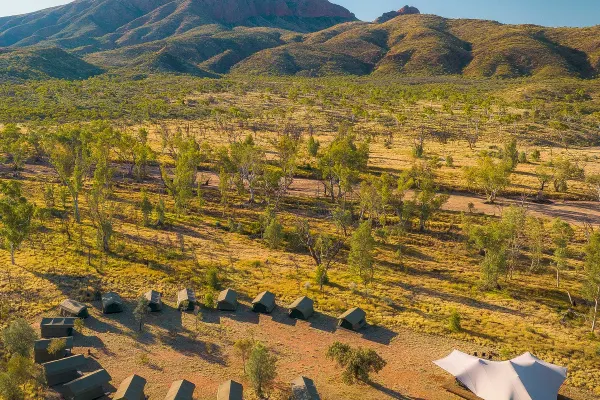 Glamping tents