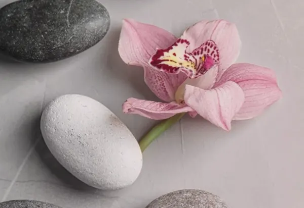 Rejuvenate your mind, body and soul luxury travel