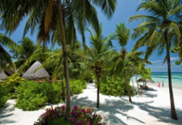 The very best of The Maldives luxury travel