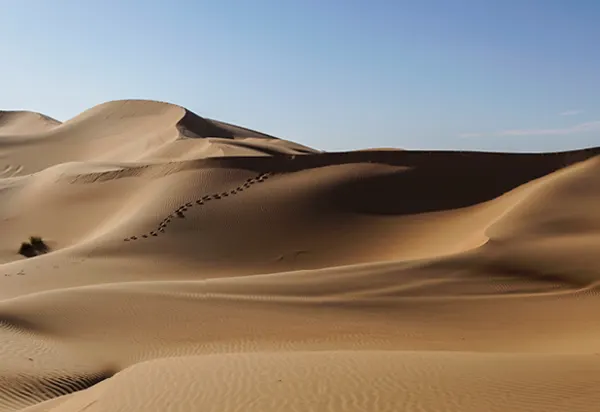 6 Reasons Why You Should Extend Your Stopover in Abu Dhabi luxury travel