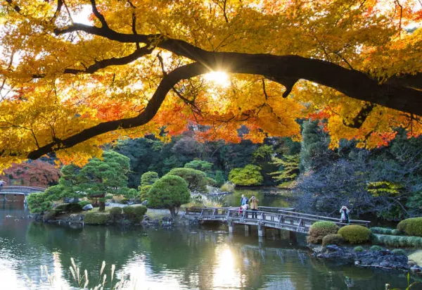 Four Seasons of Beauty in Tokyo luxury travel
