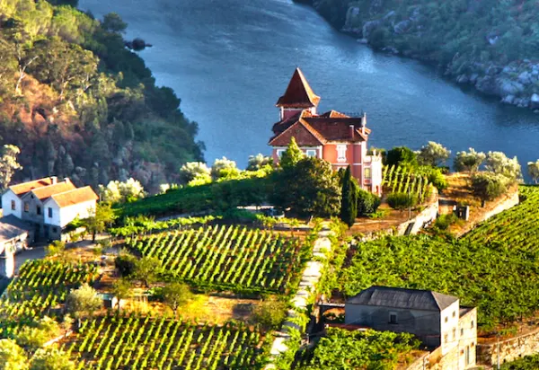 Forget France, Please Your Palate in Portugal And Cruise The Douro luxury travel