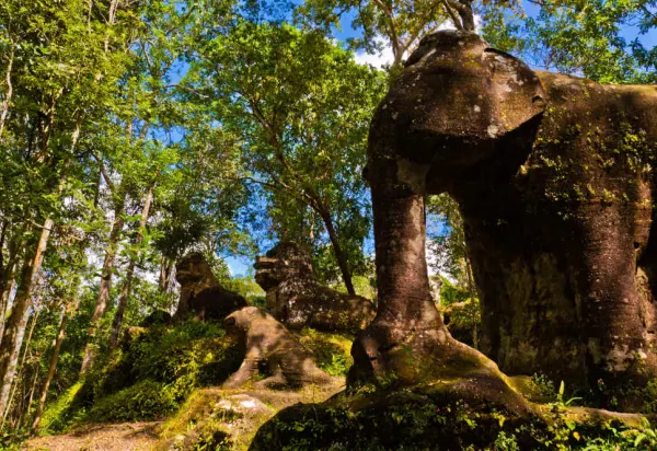 Treasures Of The Cambodian Jungle luxury travel