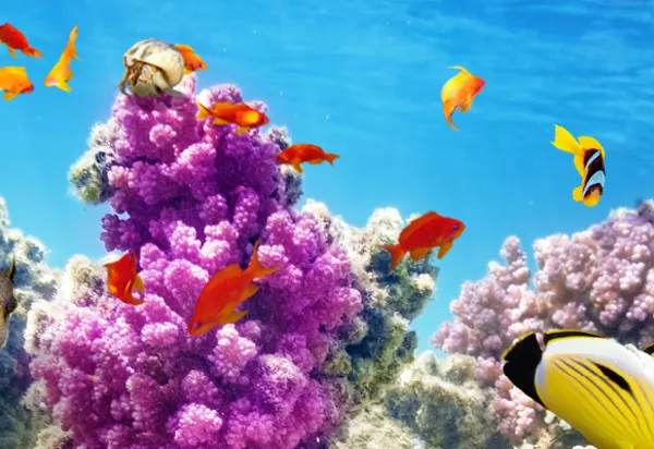 Why you should visit Christmas Island luxury travel