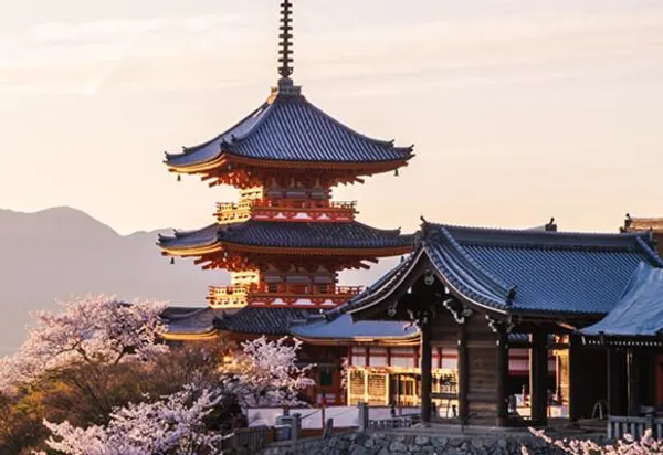 Advisor Story: Temples to Tokyo Lights Banner