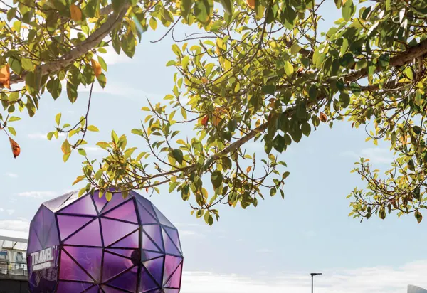 Luxury travel holidays: Events