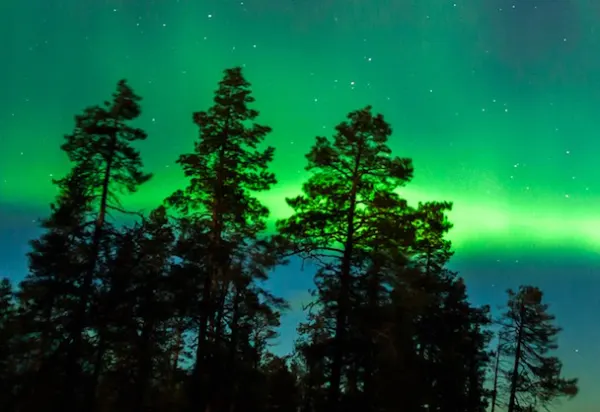 Travelling through northern Finland in winter luxury travel