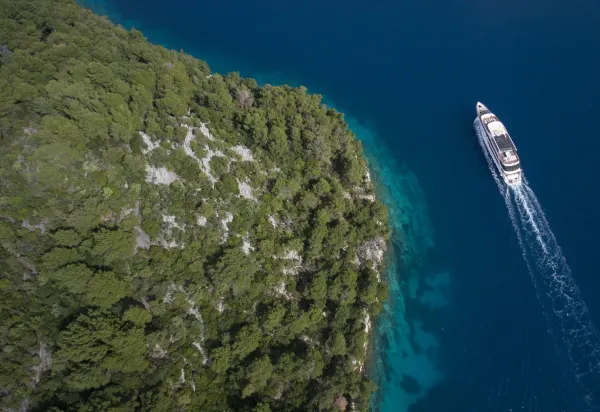 The Cruising Collection Terms & Conditions image