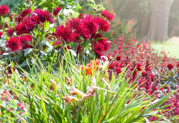 Cunard's new Australian gardening cruise luxury travel