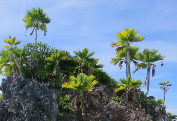 Discover Fiji's Far-Flung Lau Islands luxury travel