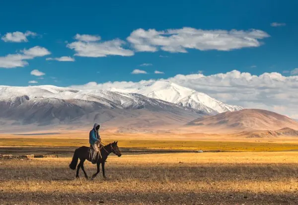 Mongolia Eagle Festival Banner