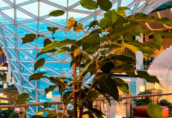 This Airport Was Just Named the Best in the World luxury travel