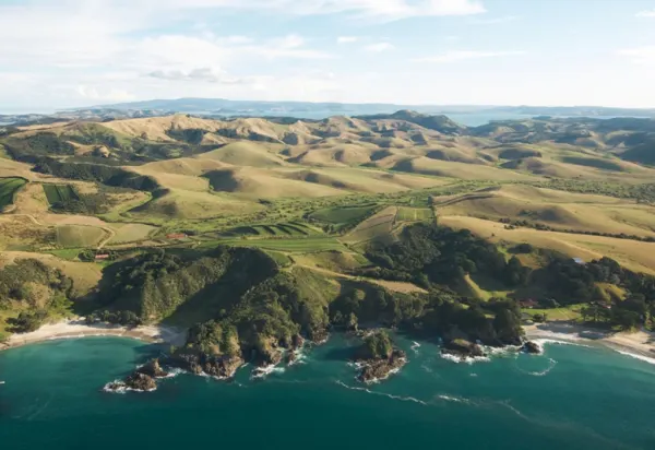 Eight Great Auckland Wine Experiences luxury travel