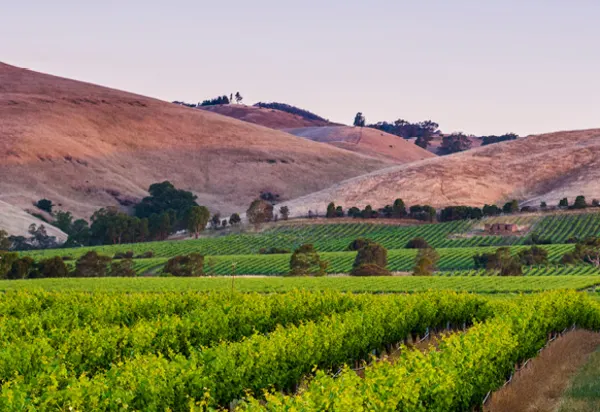 Keep Dreaming of...Adelaide luxury travel