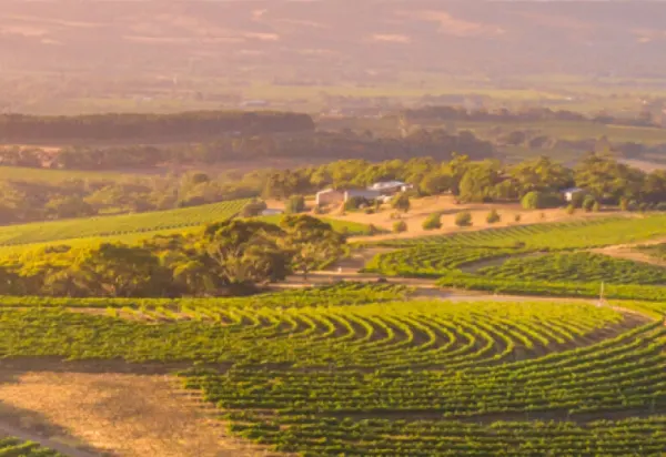 10 reasons why South Australia should be your next luxury getaway luxury travel