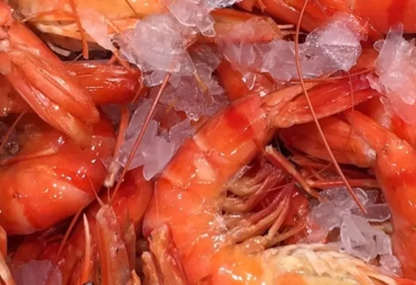 Sydney, a world class destination for food luxury travel