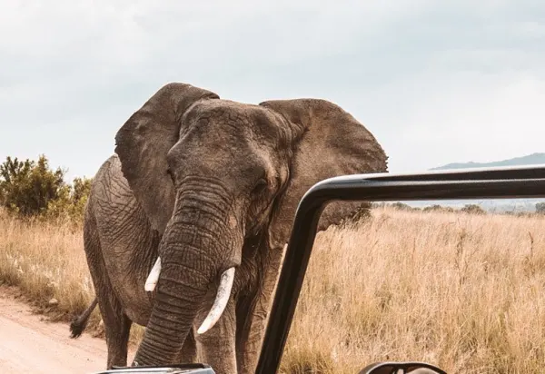 To be a travel expert, you need to travel luxury travel