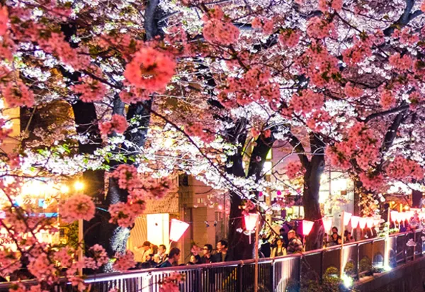 Our Hand-picked Festivals & Events for 2022 & beyond luxury travel