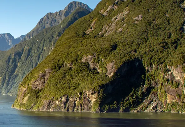 Navigating New Zealand on Noordam luxury travel