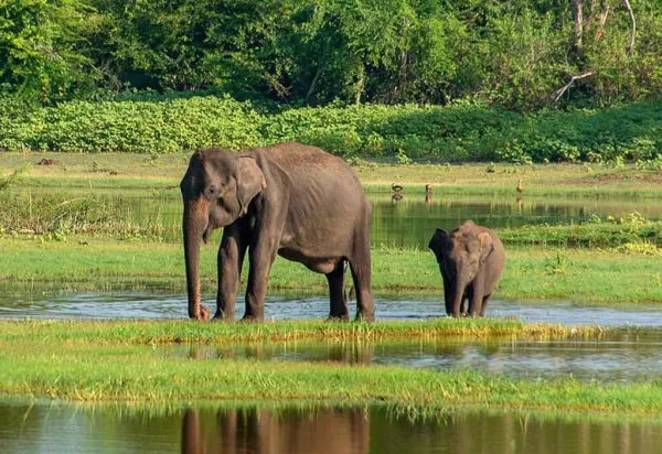 From Sentosa to Safari: Amy Gerard's One-of-a-Kind Luxury Holiday luxury travel