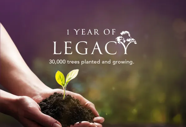 Legacy image