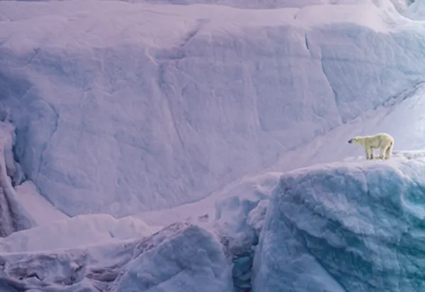 EXPLORE Offer Terms and Conditions image