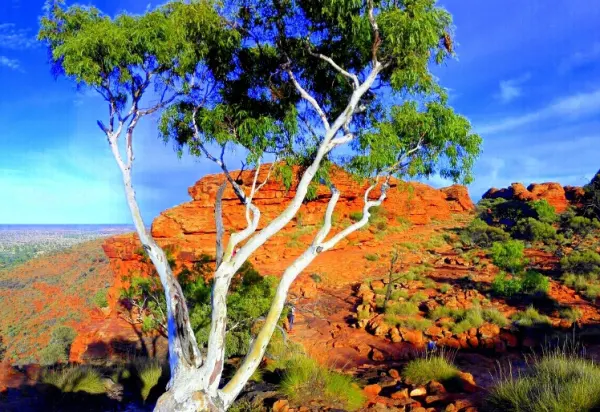 Discover the Magic of the Red Centre luxury travel